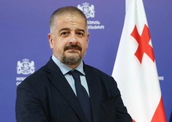 თინათინ რუხაძეს ახალი მოადგილე ჰყავს – პოსტზე თეიმურაზ გამცემლიძე დაინიშნა