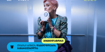 Vintylator – თიბისი ბიზნესდაჯილდოების გამარჯვებული, მწვანე ინიციატივების ხელშეწყობისთვის