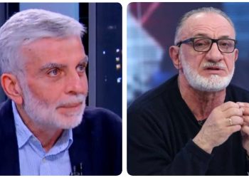 “კი, გოგა! შენ რაის პუტჩისტი ხარ, შენ პირწავარდნილი ,,ზვიადისტი” ხარ, პირწავარდნილი ,,ზვიადისტი” – კახა მიქაია