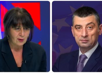 “აააჰ ესე იგი საქმე ნაცმოში არ ყოფილა, არამედ სხვა რამეში” – ლიკა ბასილაია-შავგულიძე