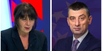 “აააჰ ესე იგი საქმე ნაცმოში არ ყოფილა, არამედ სხვა რამეში” – ლიკა ბასილაია-შავგულიძე