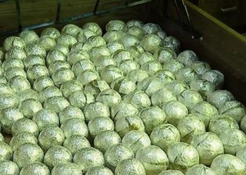 პოლიციამ თბილისში განსაკუთრებით დიდი ოდენობით ნარკოტიკი ამოიღო, რომლის ღირებულება ე.წ. შავ ბაზარზე დაახლოებით 3 მლნ ლარს შეადგენს