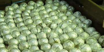 პოლიციამ თბილისში განსაკუთრებით დიდი ოდენობით ნარკოტიკი ამოიღო, რომლის ღირებულება ე.წ. შავ ბაზარზე დაახლოებით 3 მლნ ლარს შეადგენს