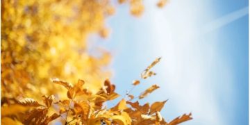 1 ნოემბრის ამინდის პროგნოზი ქალაქების მიხედვით