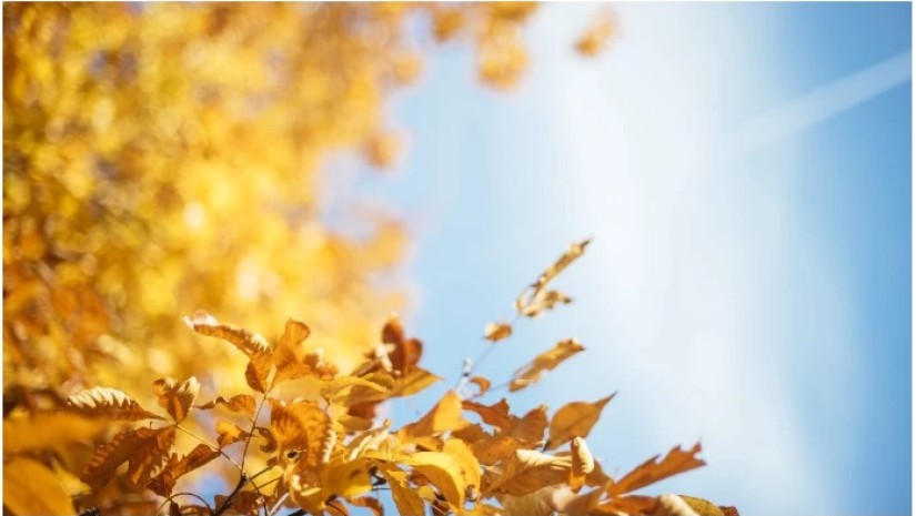 1 ნოემბრის ამინდის პროგნოზი ქალაქების მიხედვით