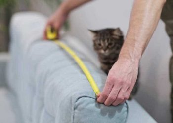 5 რჩევა, რომელიც ავეჯის დაუზიანებლად გადატანაში დაგეხმარება