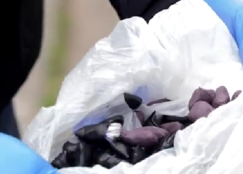 ამოღებულია 44 შეკვრა „ალფა-პვპ” – ნარკოდანაშაულის ბრალდებით ერთი პირია დაკავებული