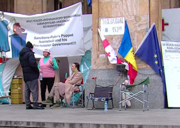 შიმშილობის მე-8 დღე – პროტესტის მონაწილეებს კიდევ ორი მოშიმშილე დაემატა