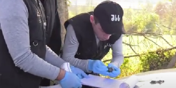 ამოღებულია 32 შეკვრა “მეთადონი” – სპეცოპერაცია იმერეთში