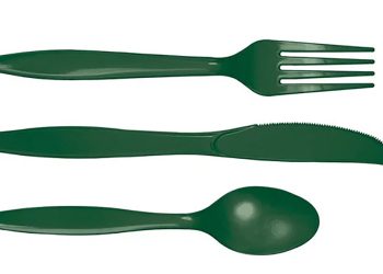 იკრძალება ერთჯერადი, პლასტმასის ჩანგლები, დანები, კოვზები, ჩხირები, თეფშები – სრული ჩამონათვალი