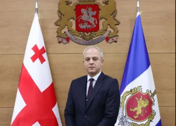 შინაგან საქმეთა მინისტრის მოადგილედ გიორგი სახოკია დაინიშნა