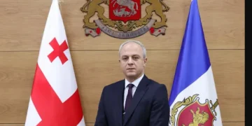 შინაგან საქმეთა მინისტრის მოადგილედ გიორგი სახოკია დაინიშნა