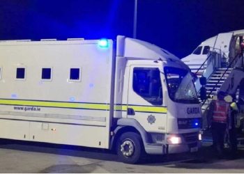 ირლანდიიდან საქართველოში 52 ადამიანი გამოაძევეს, მათ შორის, 7 ბავშვი