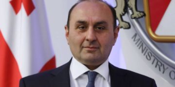 ლერი ბარნაბიშვილი ფინანსთა მინისტრის მოადგილის თანამდებობიდან გაათავისუფლეს