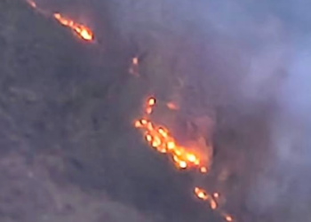 ბაღდათში, სოფელ ხანის მიმდებარედ, შერეული ტყის ფერდობზე ხანძარია