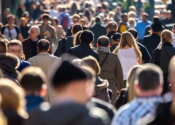 4 ცვლილება, რომელიც ქვეყანაში ნოემბრიდან ამოქმედდა