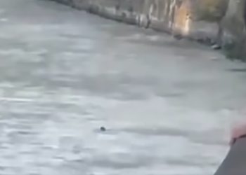 “დაინახა, რომ მტკვარში ბიჭი იხრჩობოდა და წყალში გადაეშვა” – ვიდეო სოციალური ქსელიდან