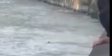 “დაინახა, რომ მტკვარში ბიჭი იხრჩობოდა და წყალში გადაეშვა” – ვიდეო სოციალური ქსელიდან