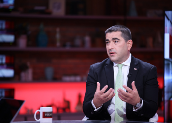 “ქართველობააყრილები” – პაპუაშვილი საქართველოს მოქალაქეებზე