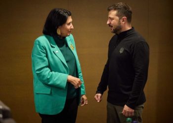 სალომე ზურაბიშვილი ვოლიდიმირ ზელენსკის მიმართავს