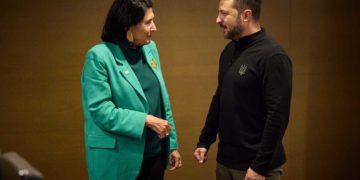 სალომე ზურაბიშვილი ვოლიდიმირ ზელენსკის მიმართავს