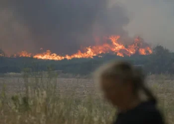 საგანგებო სიტუაციების მართვის სამსახური – ტყისა და მინდვრის საფარი გამომშრალია, რაც ზრდის ხანძრის რისკს