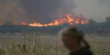 საგანგებო სიტუაციების მართვის სამსახური – ტყისა და მინდვრის საფარი გამომშრალია, რაც ზრდის ხანძრის რისკს
