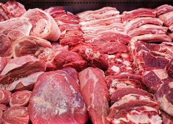 „სურსათის 2 ნიმუშში ვირის დნმ გამოვლინდა“ – სურსათის ეროვნული სააგენტო