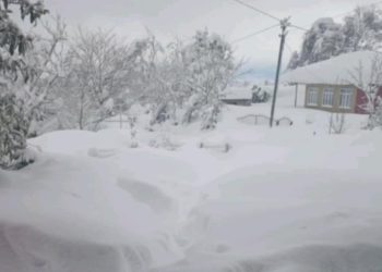 “გაგიკვირდებათ და მოვიდა ზამთარი. რა ხდება გურიაში?! მეორე დღეა მუნიციპალური ავტობუსი არ ამოსულა”