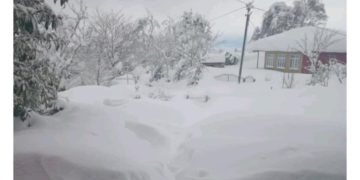 “გაგიკვირდებათ და მოვიდა ზამთარი. რა ხდება გურიაში?! მეორე დღეა მუნიციპალური ავტობუსი არ ამოსულა”