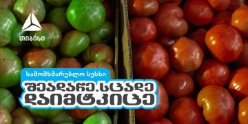 შეადარე, სცადე, დაიმტკიცე – თიბისის ახალი კამპანია