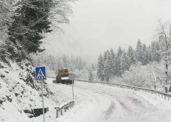გზებზე მოძრაობა იზღუდება – საავტომობილო გზების დეპარტამენტი