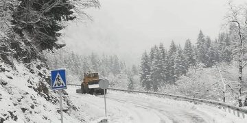 გზებზე მოძრაობა იზღუდება – საავტომობილო გზების დეპარტამენტი