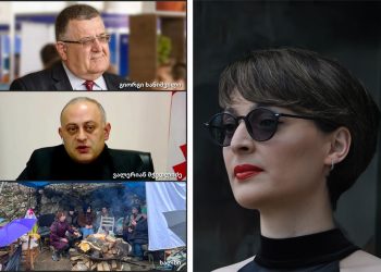 “მილიონერი ჩინოვნიკები, კიდევ უფრო გამდიდრებისთვის ქართველ ხალხს ბუნებასაც გვართმევენ” – სალომე სიმონია