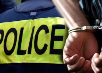 „მეთადონი“, „ალფა-პვპ“, „ტეტრაჰიდროკანაბინოლი“ – ნარკოდანაშაულის ბრალდებით 5 პირი დააკავეს