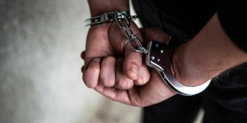 შსს: დაკავებულია უცხო ქვეყნის 28 მოქალაქე