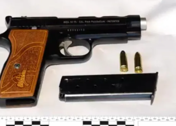 ამოღებულია უკანონო ცეცხლსასროლი იარაღები და საბრძოლო მასალა – დაკავებულია ერთი პირი