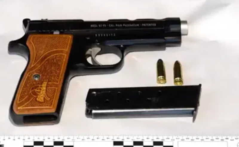 ამოღებულია უკანონო ცეცხლსასროლი იარაღები და საბრძოლო მასალა – დაკავებულია ერთი პირი