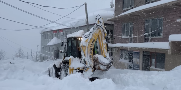 მაღალმთიან აჭარაში თოვლის საფარმა 1.5 მეტრს გადააჭარბა