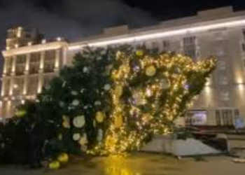 მოსკოვის ცენტრში ნაძვის ხე წაიქცა