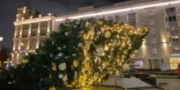 მოსკოვის ცენტრში ნაძვის ხე წაიქცა