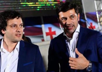 77 ჰექტარი სამთავრობო ქალაქისთვის – მიწა, რომელშიც კალაძის კომპანიას ერთხელ უკვე გადახდილი აქვს 19 მილიონი დოლარი