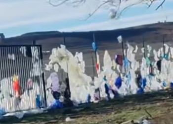 “თბილისი – ნასაგური – ასეთი მდგომარეობაა” – ვიდეო