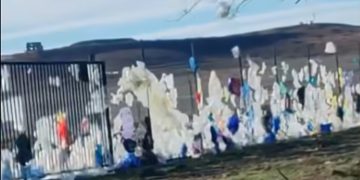 “თბილისი – ნასაგური – ასეთი მდგომარეობაა” – ვიდეო