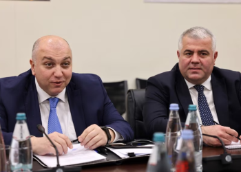 ქარსელაძის ყოფილი მოადგილე გირაოთი გაათავისუფლეს