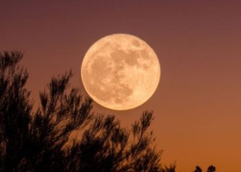 5 დეკემბერი სავსემთვარეობაა – რა უნდა ვიცოდეთ