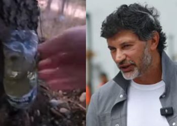 ვიდეო – თბილისში ნაძვის ხეები დახვრიტეს და დიზელს ასხამენ, რათა გახმეს