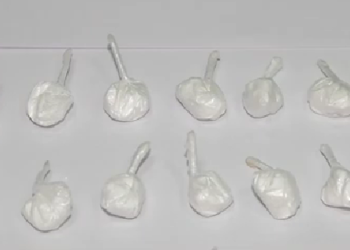 შსს: თურქეთის მოქალაქეს საქართველოში 21 შეკვრა „კოკაინი“ შემოჰქონდა