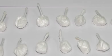 შსს: თურქეთის მოქალაქეს საქართველოში 21 შეკვრა „კოკაინი“ შემოჰქონდა