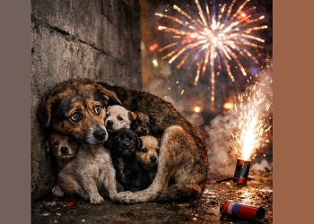 “თქვენს ერთწამიან სიამოვნებას უამრავი ცოცხალი არსება ეწირება” – ტასო ლოსაბერიძე